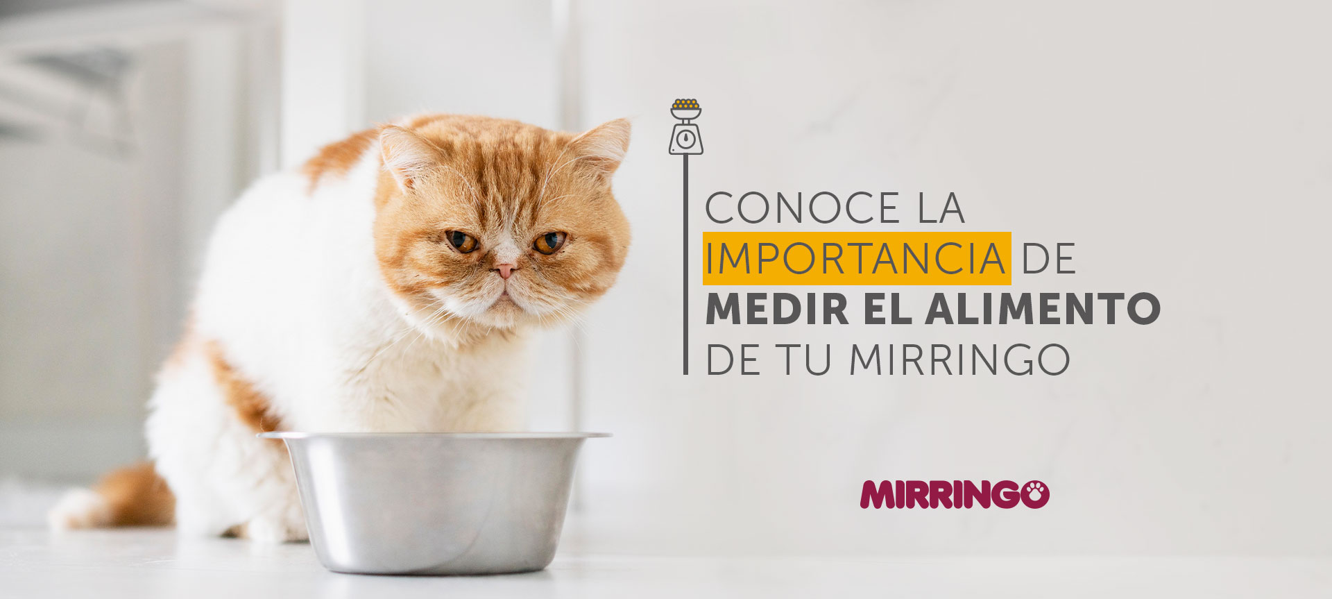  La importancia de medir el alimento de tu mirringo